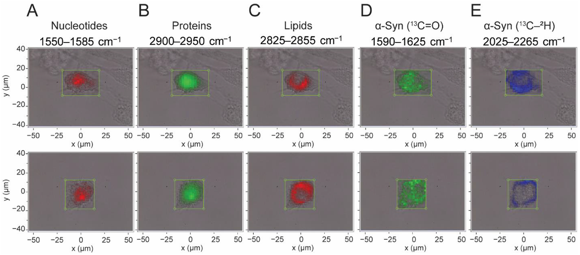 Fig. 4.