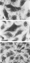 FIG. 8.