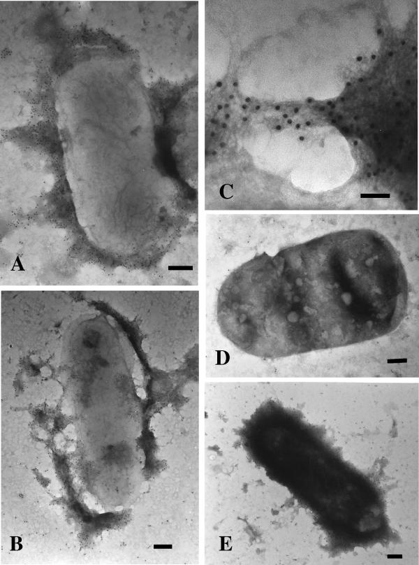 FIG. 9.