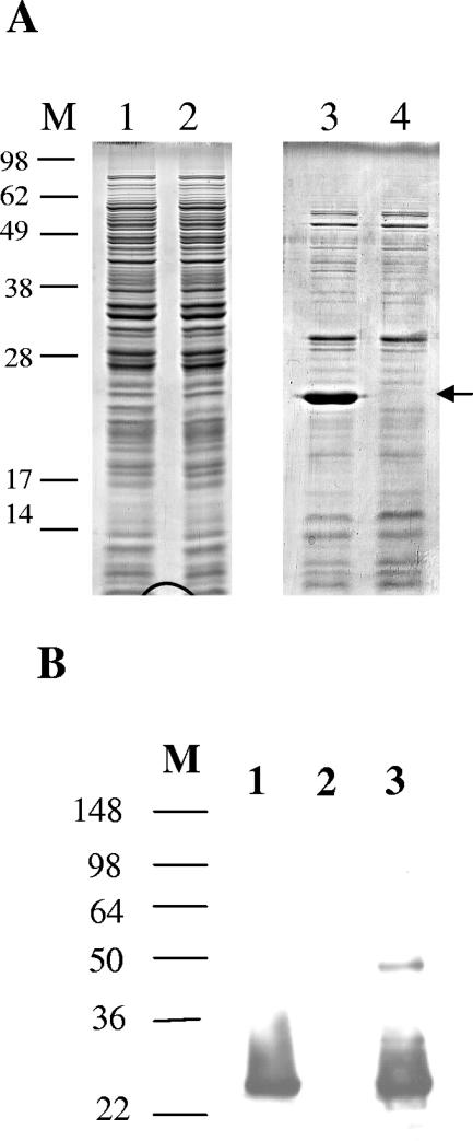 FIG. 7.