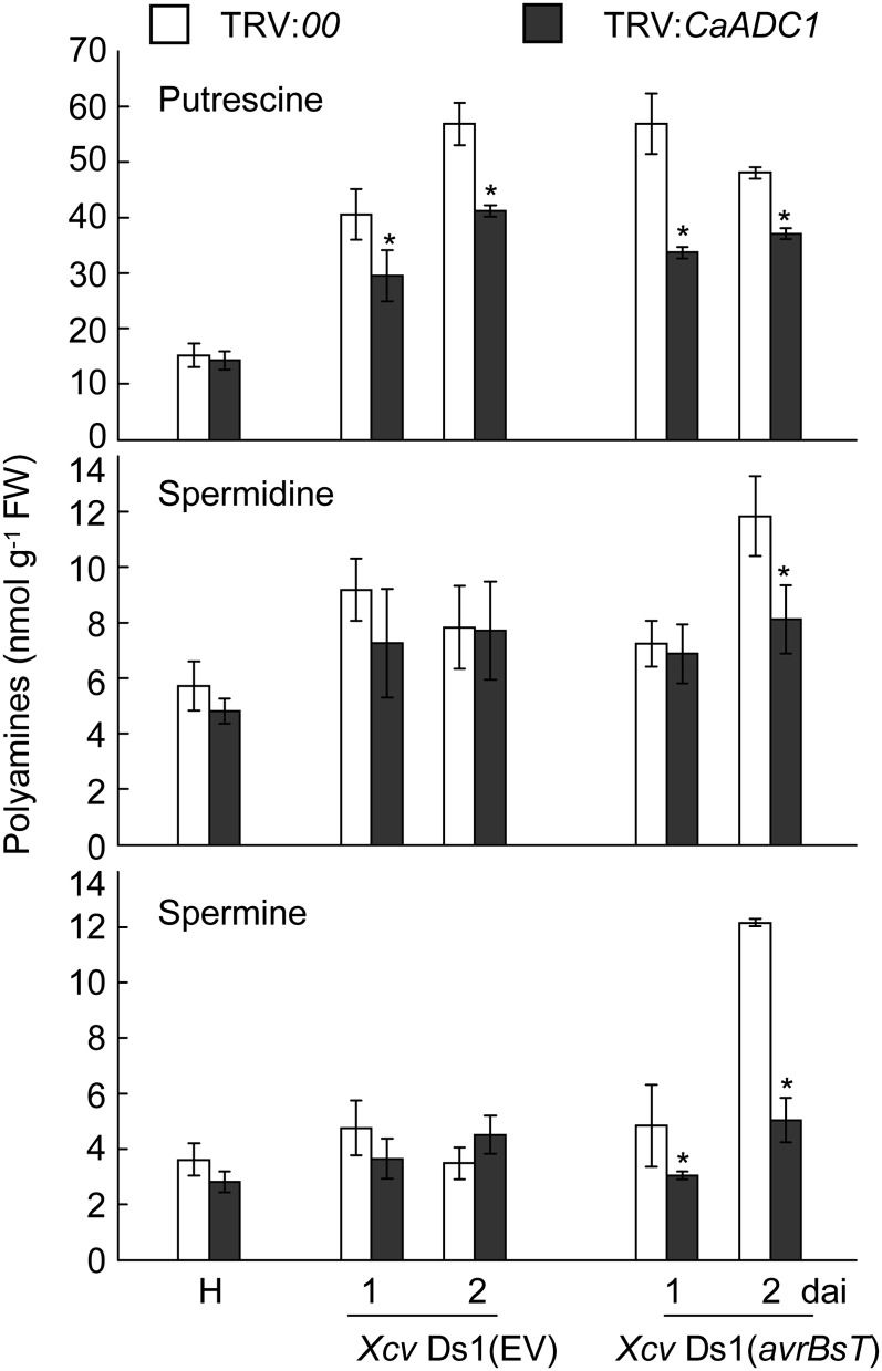 Figure 10.