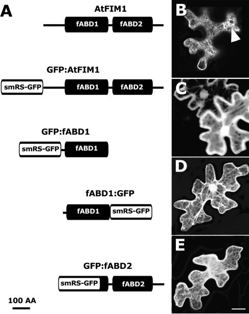 Figure 2.