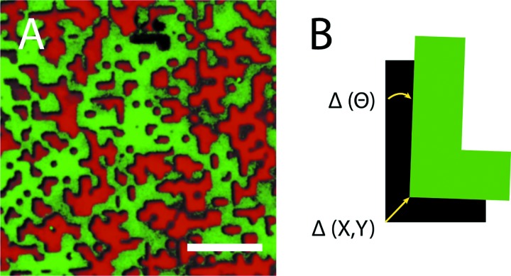 Fig. 2.