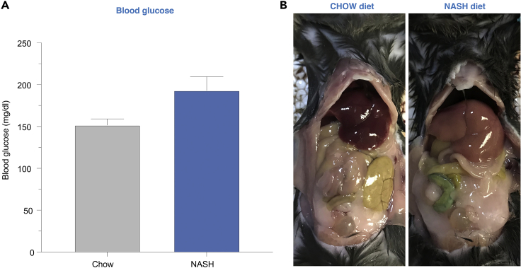 Figure 1