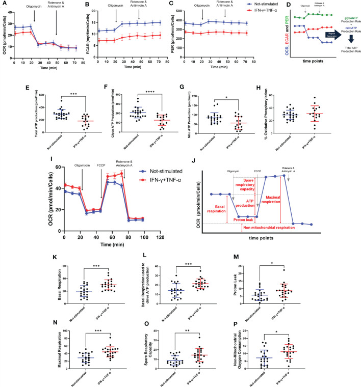 Figure 5