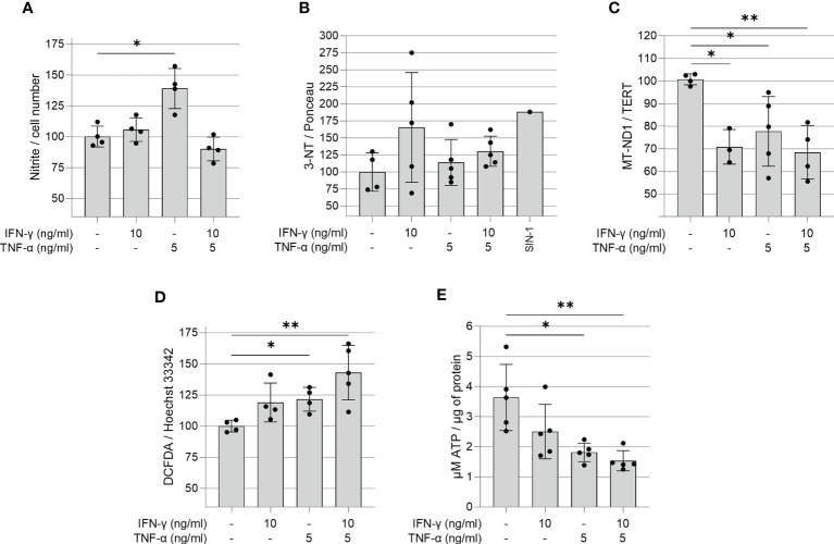 Figure 3