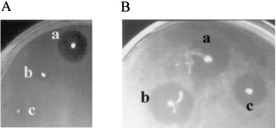 FIG. 4.