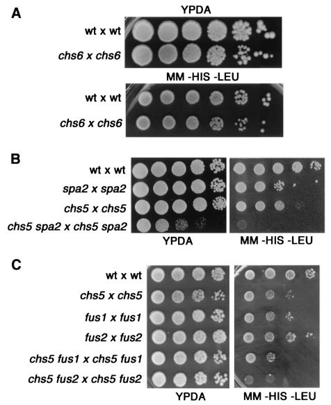 FIG. 3.