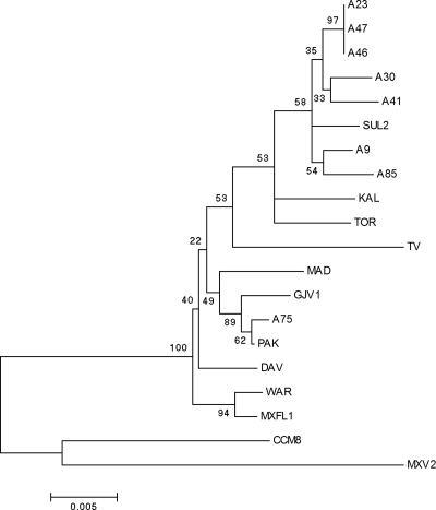 FIG. 4.