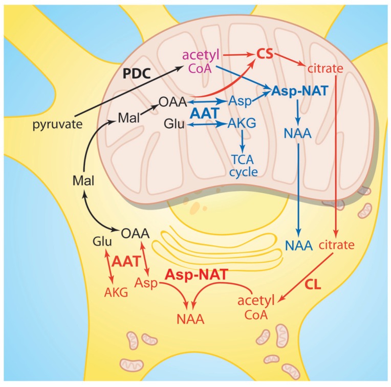 FIGURE 2