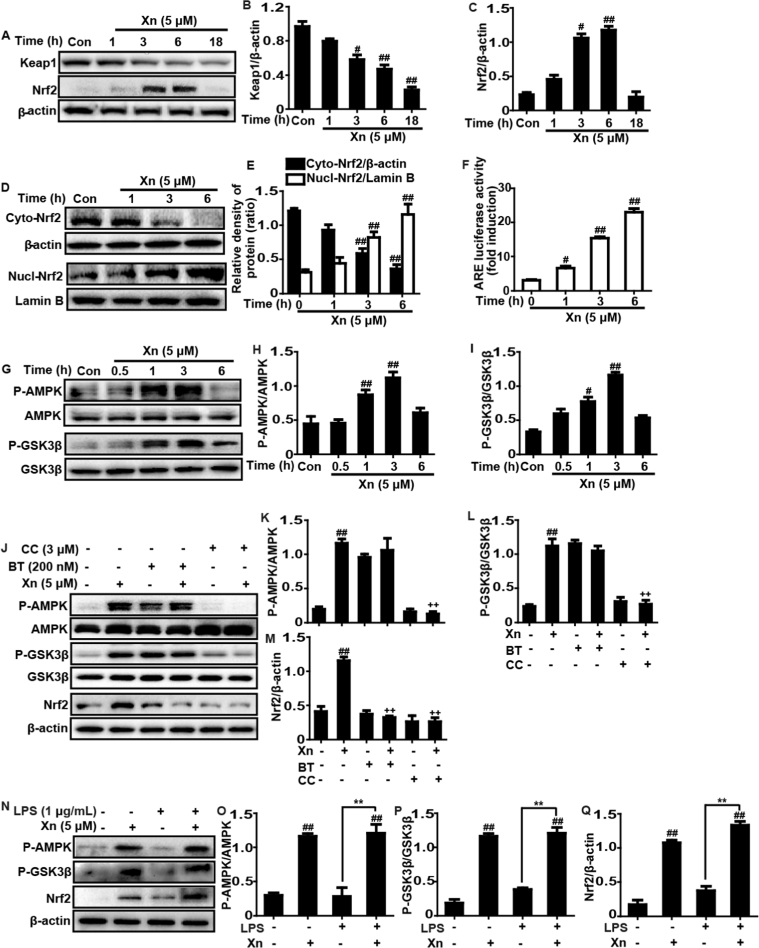 Fig. 8.