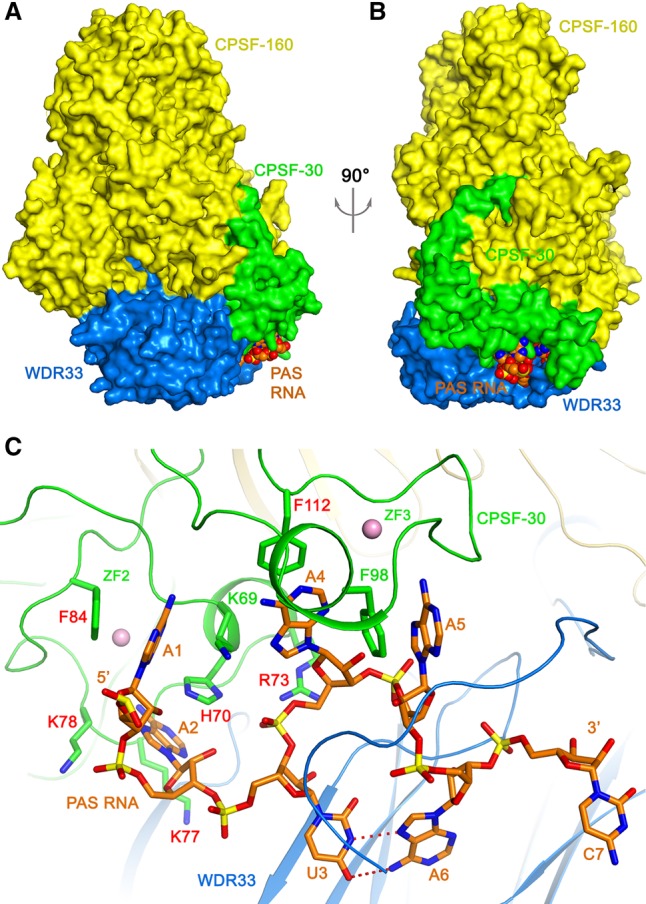 FIGURE 1.