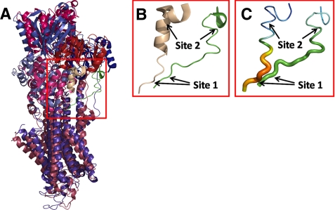 FIGURE 1.