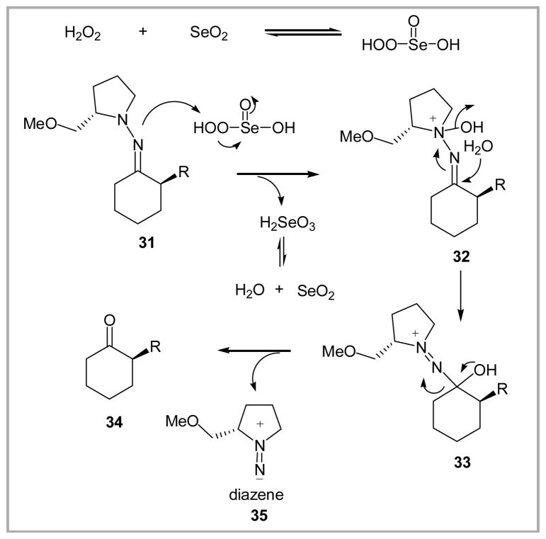 Scheme 5