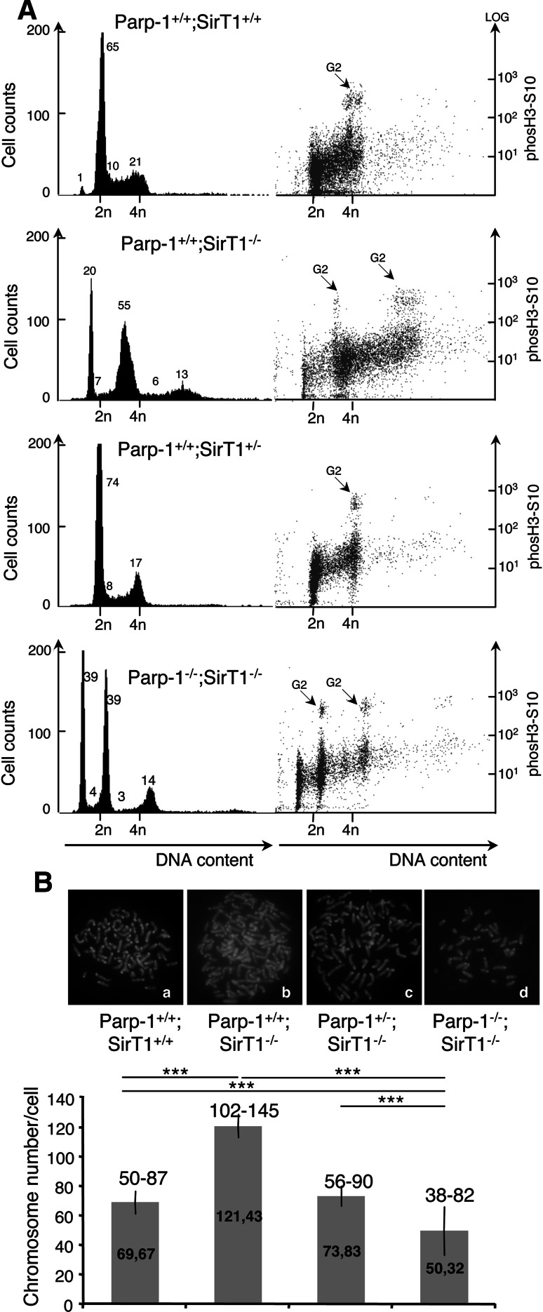 Fig. 7