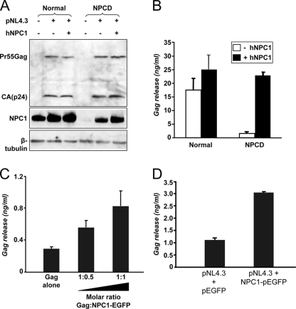 FIG. 6.