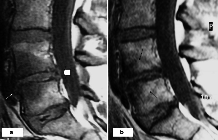 Fig. 5