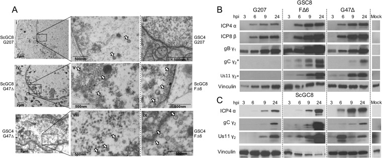 FIG 2