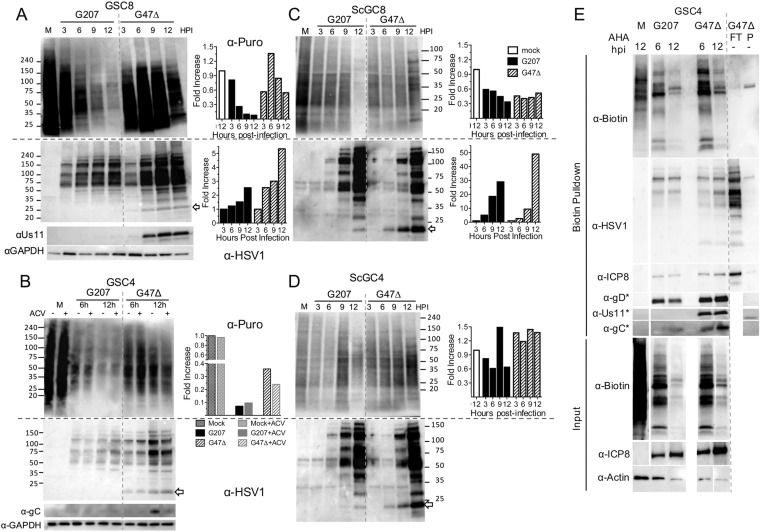 FIG 3