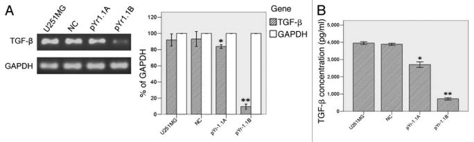 Figure 2.