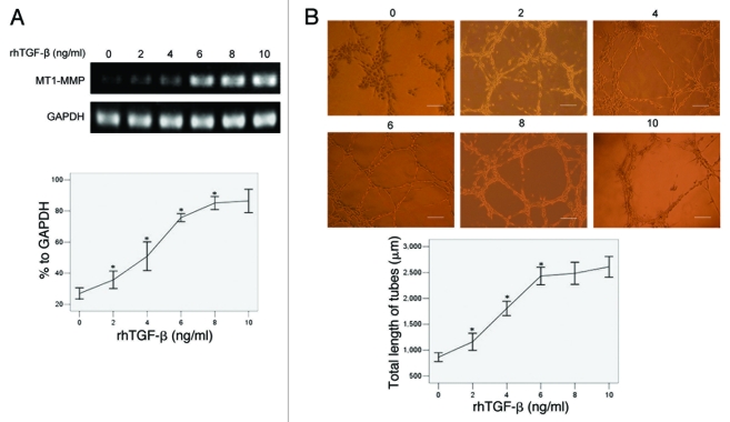 Figure 6.