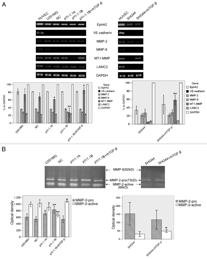 Figure 4 (See opposite page).