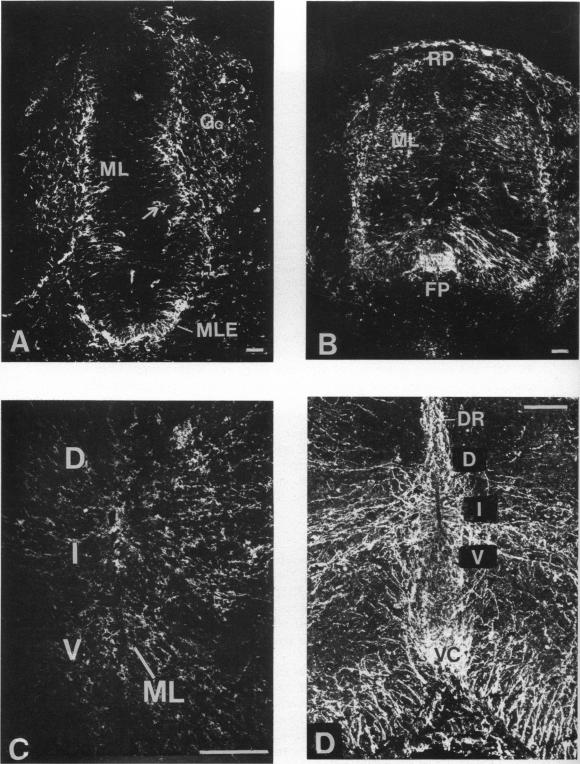 Fig. 2 (cont.)