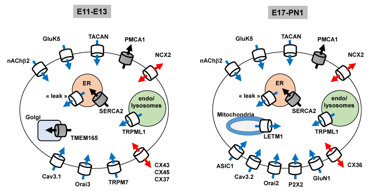 Figure 6