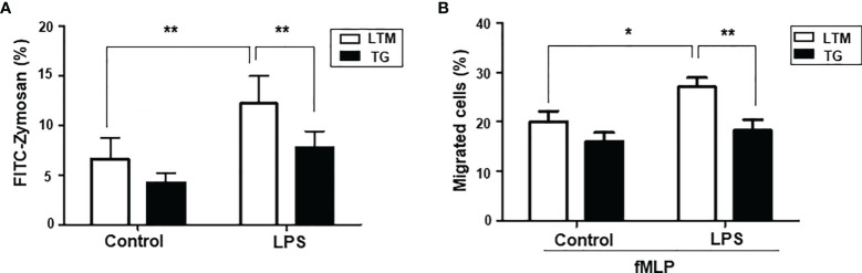 Figure 5