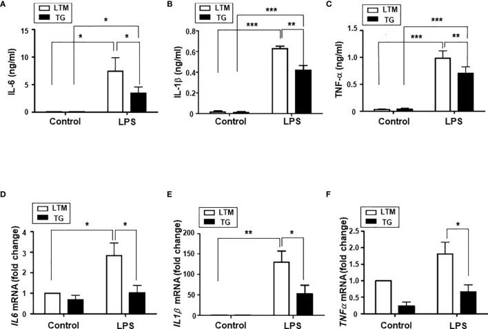 Figure 6