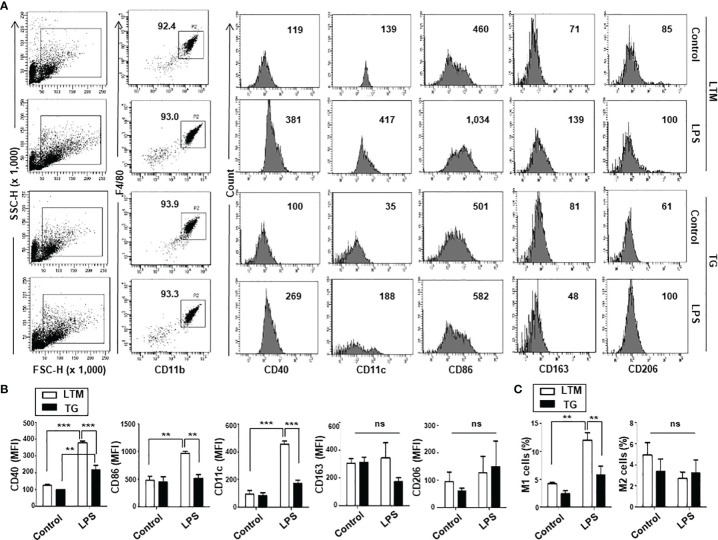 Figure 3