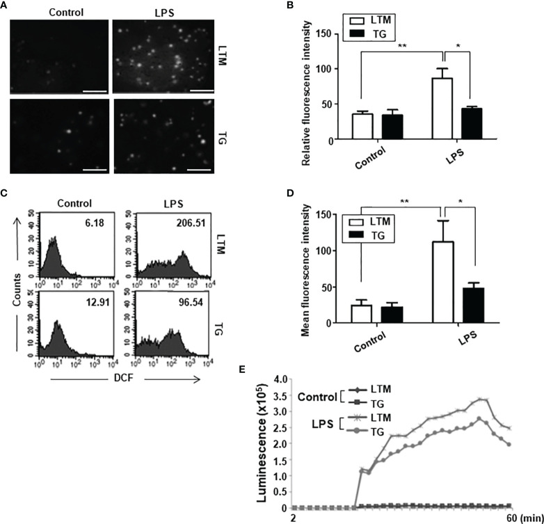 Figure 4