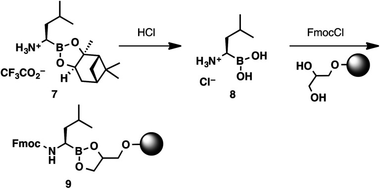 Scheme 3