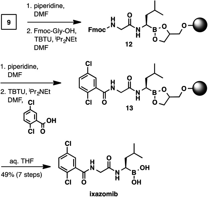 Scheme 5