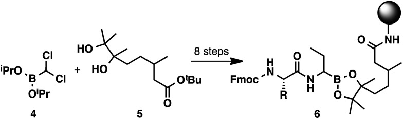 Scheme 2