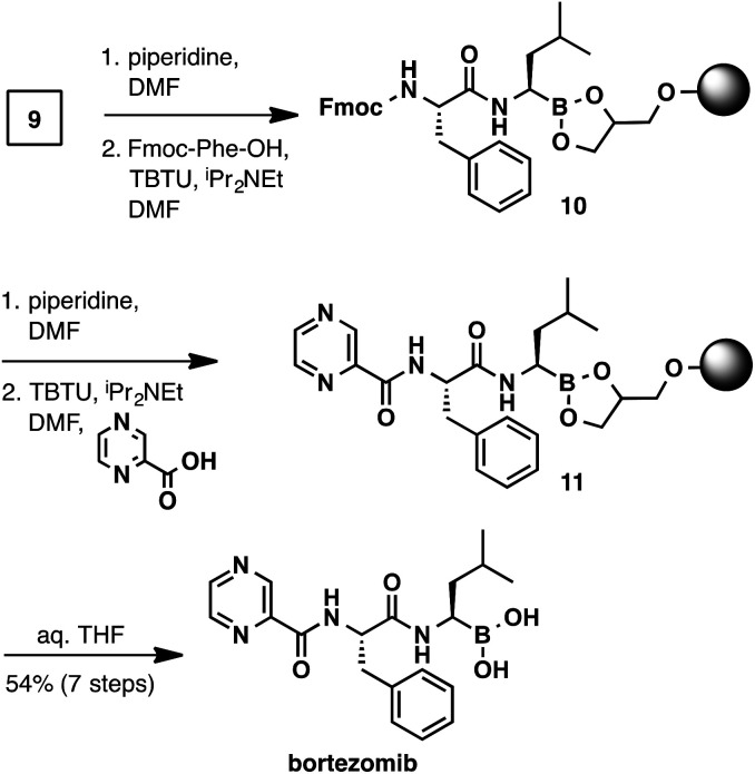 Scheme 4