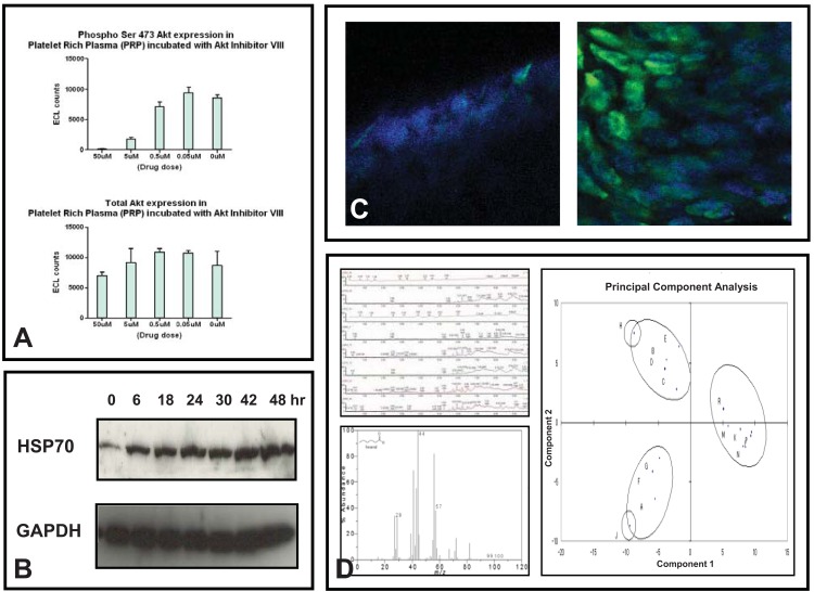 Fig. (1)