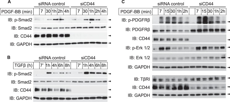 FIGURE 7.