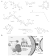 Fig. (2)