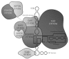 Fig. (1)