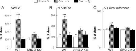 FIGURE 12.