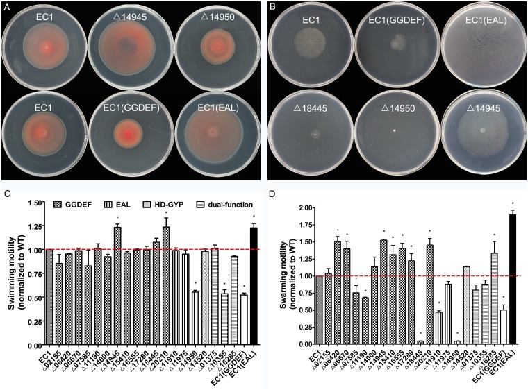 Fig 3