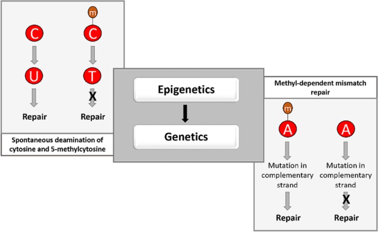 FIG 6