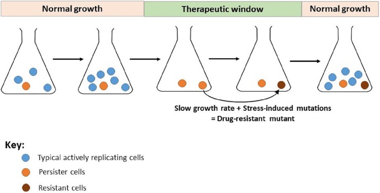 FIG 4