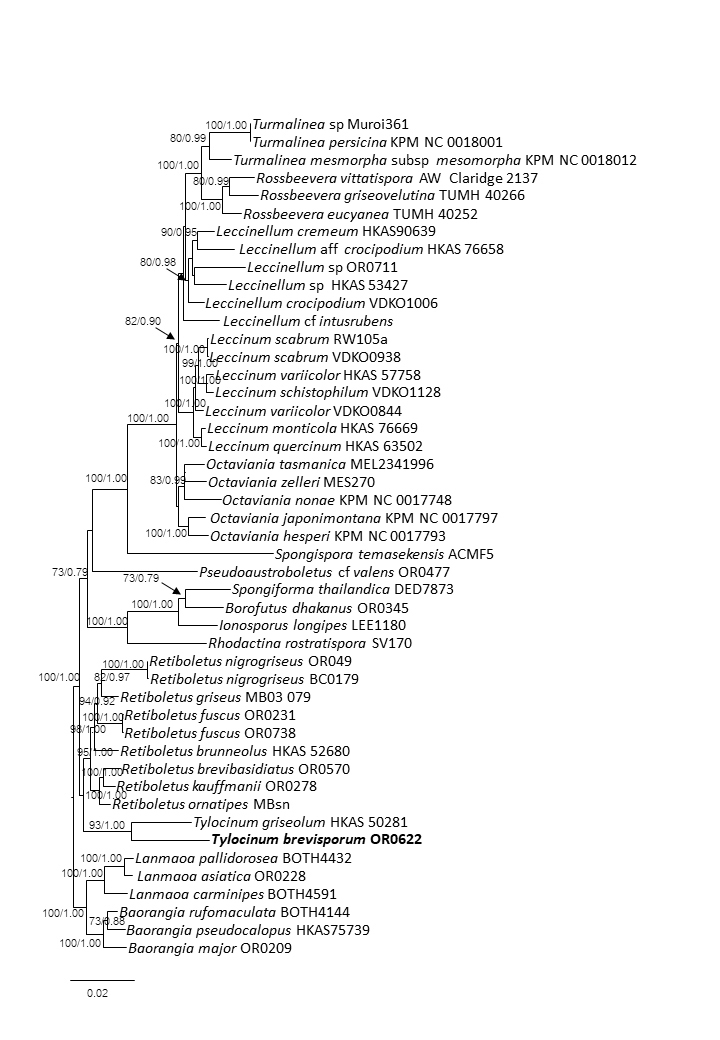 Figure 3.