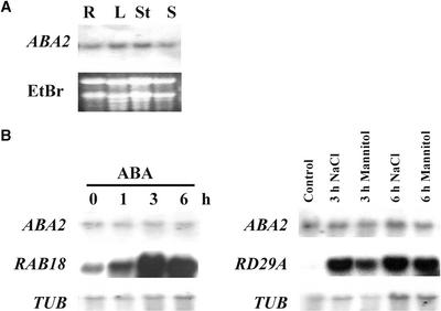 Figure 6.