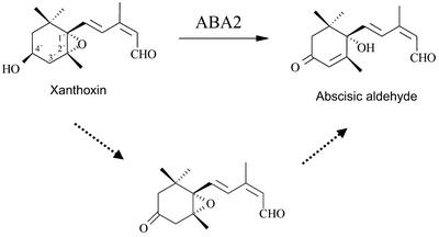 Figure 7.