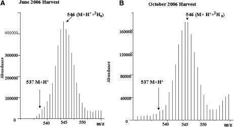 FIGURE 3.