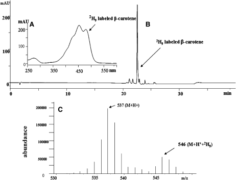 FIGURE 4.