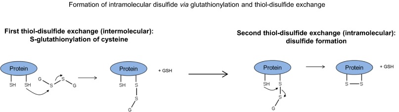 Fig. S3.